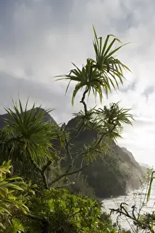 USA, Hawaii, Kauai Island, Na Pali Coast State Park, Setting sun lights tropical
