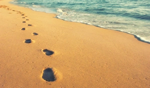 Savanah Stewart Prints: USA, Hawaii, Kauai, Kapa a, beachfront