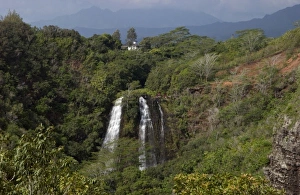 Savanah Stewart Prints: USA, Hawaii, Kauai, Wailua River State Park, waterfall. (RF)