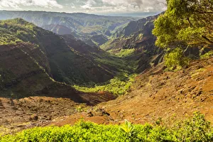Images Dated 26th March 2018: USA, Hawaii, Kauai. Waimea Canyon landscape