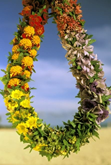 USA, Hawaii. Lei