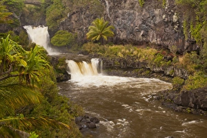 Haleakala Prints: USA, Hawaii, Maui, Haleakala National Park. Ohe o Gulch and Seven Sacred Pools