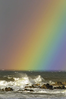Images Dated 26th February 2013: USA, Hawaii, Maui, Hookipa Beach Park. rainbow and waves Credit as: Cathy & Gordon
