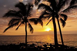 Maui Prints: USA, Hawaii, Maui, Kihei. Palm tree sunset