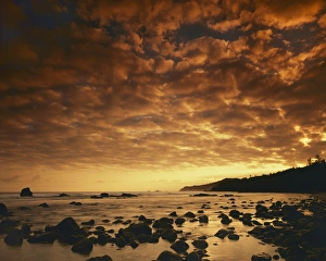 Honokohau Bay Prints: USA, Hawaii, Maui, Sunrise at Honokohau Bay