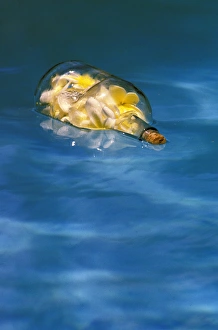 Images Dated 27th March 2009: USA, Hawaii. Message in a bottle