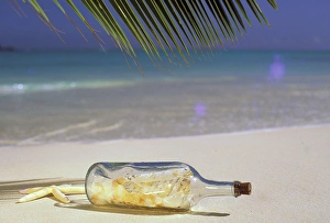Images Dated 27th March 2009: USA, Hawaii. Message in a bottle