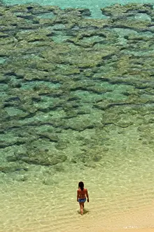 Images Dated 9th May 2014: USA, Hawaii, Oahu, Beach at Hanauma Bay Nature Preserve
