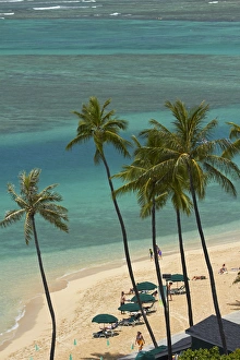 Images Dated 7th May 2014: USA, Hawaii, Oahu, Honolulu, Waikiki, Fort DeRussy Beach and palm trees
