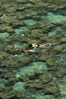 Images Dated 9th May 2014: USA, Hawaii, Oahu, people snorkelling among coral reef at Hanauma Bay Nature Preserve
