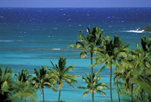 Elan Sunstar Prints: USA, Hawaii. Palms and ocean view