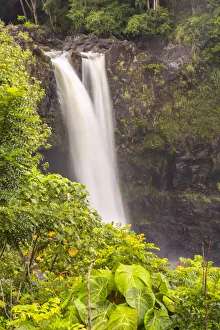 Images Dated 22nd March 2018: USA, Hawaii, Rainbow Falls. Waterfall and tropical landscape
