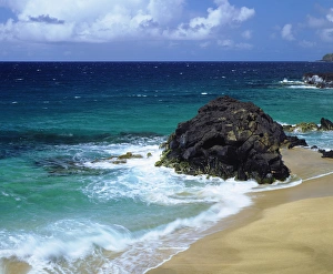 Sandy Prints: USA; Hawaii; A wave breaks on a beach