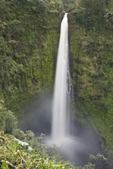 USA. Hawaii.Akaka Falls on the Big Island of Hawaii