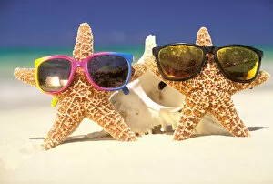USA, Hawaiian Islands. Star fish with sunglasses