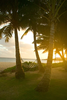 USA, HI, Kauai, Ship Wreck Beach and waiting Hamock