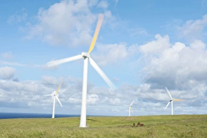 Utility Prints: USA, HI, Kohala, Wind Turbines