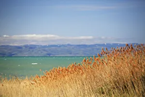 Lakefront Prints: USA, Idaho, Bear Lake. View of Bear lake with turquoise waters