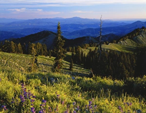 USA, Idaho, Cache Valley, Cache National Forest, Bear River Range, Portneuf Mountains
