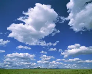 Skyward Prints: USA, Idaho, Camas Co. Puffy summer clouds hang in the bright sky over the endless