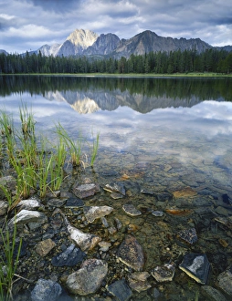 Images Dated 19th March 2010: USA, Idaho, Challis National Forest, Sawtooth National Recreation Area, Stones along