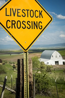 USA: Idaho, Columbia River Basin, Snake and Salmon River Basins, Camas Prairie
