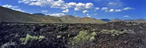 Sage Brush Prints: USA, Idaho, Craters of the Moon NM. Clumps of sagebrush grow even in the barren lava
