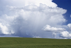 Images Dated 12th December 2012: USA, Idaho, Green Wheat Field, Clouds, Summer, Fruitland