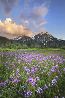 Landscape-Scenic Prints: USA, Idaho. McGown Peak Sawtooth Mountains