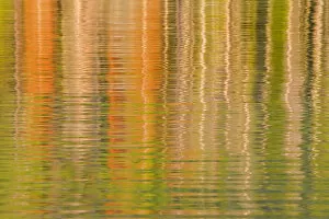USA, Idaho. Reflections on Redfish Lake. Credit as: Don Paulson / Jaynes Gallery / DanitaDelimont