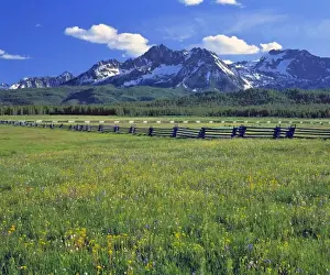 USA, Idaho, Sawtooth NRA. A split-rail fence marks a meadow of wildflowers with