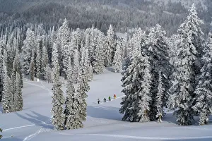 Bear Lake Prints: USA, Idaho. Four skiers climbing on trail near Bear Lake