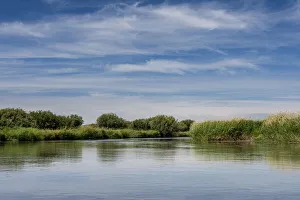 Willow Prints: USA, Idaho. Teton River, willows and wetland near Driggs