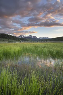 Images Dated 17th July 2019: USA, Idaho. Wetlands in Stanley Basin, Sawtooth Mountains