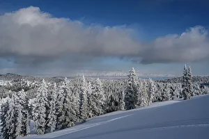 Bear Lake Prints: USA, Idaho. Winter landscape near Bear Lake