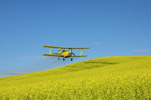 Images Dated 16th September 2024: USA, Idaho. Yellow crop duster spraying over canola field. (Editorial Use Only)