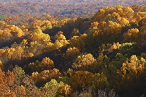 Images Dated 25th October 2004: USA, Indiana, Brown County in autumn