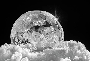 Images Dated 23rd January 2024: USA, Indiana, Carmel. Frozen soap bubble with feather-like crystals on bed of ice