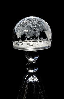 Images Dated 23rd January 2024: USA, Indiana, Carmel. Frozen soap bubble on wine glass base