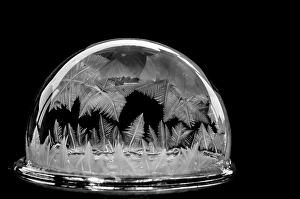 Frozen Prints: USA, Indiana, Carmel. Frozen soap bubbles on wine glass base