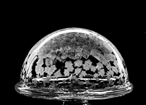 Frozen Prints: USA, Indiana, Carmel. Frozen soap bubbles on wine glass base