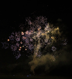 Spark Prints: USA, Indiana, Carmel. July 4th fireworks