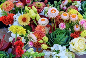 Indiana Prints: USA, Indiana, Fishers. Fresh flowers on display at market