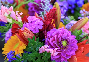 Indiana Prints: USA, Indiana, Fishers. Fresh flowers on display at market