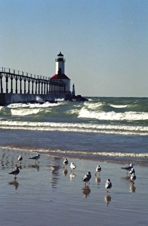 Images Dated 22nd November 2011: USA, Indiana, Indiana Dunes State Park