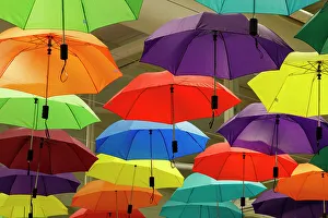 Hanging Prints: USA, Indiana, Indianapolis. Colorful umbrellas for sale hanging from ceiling