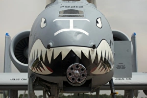 Images Dated 7th June 2009: USA, Indiana, Indianapolis, Mount Comfort Airport. Front of an A-10 Thunderbolt II