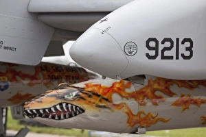Images Dated 7th June 2009: USA, Indiana, Indianapolis, Mount Comfort Airport. Front of an A-10 Thunderbolt II