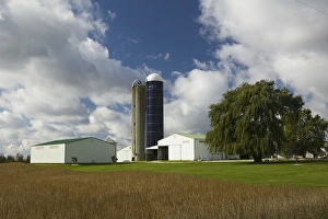 Images Dated 12th October 2006: USA-Indiana-Sedan: Indiana Farm on SR 6 / Autumn