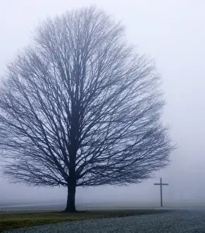 Bleak Prints: USA, Indiana, Westfield. Tree and Christian cross on a foggy winter day